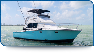 38 ft Bertram fishing charter Cancun with air conditioning